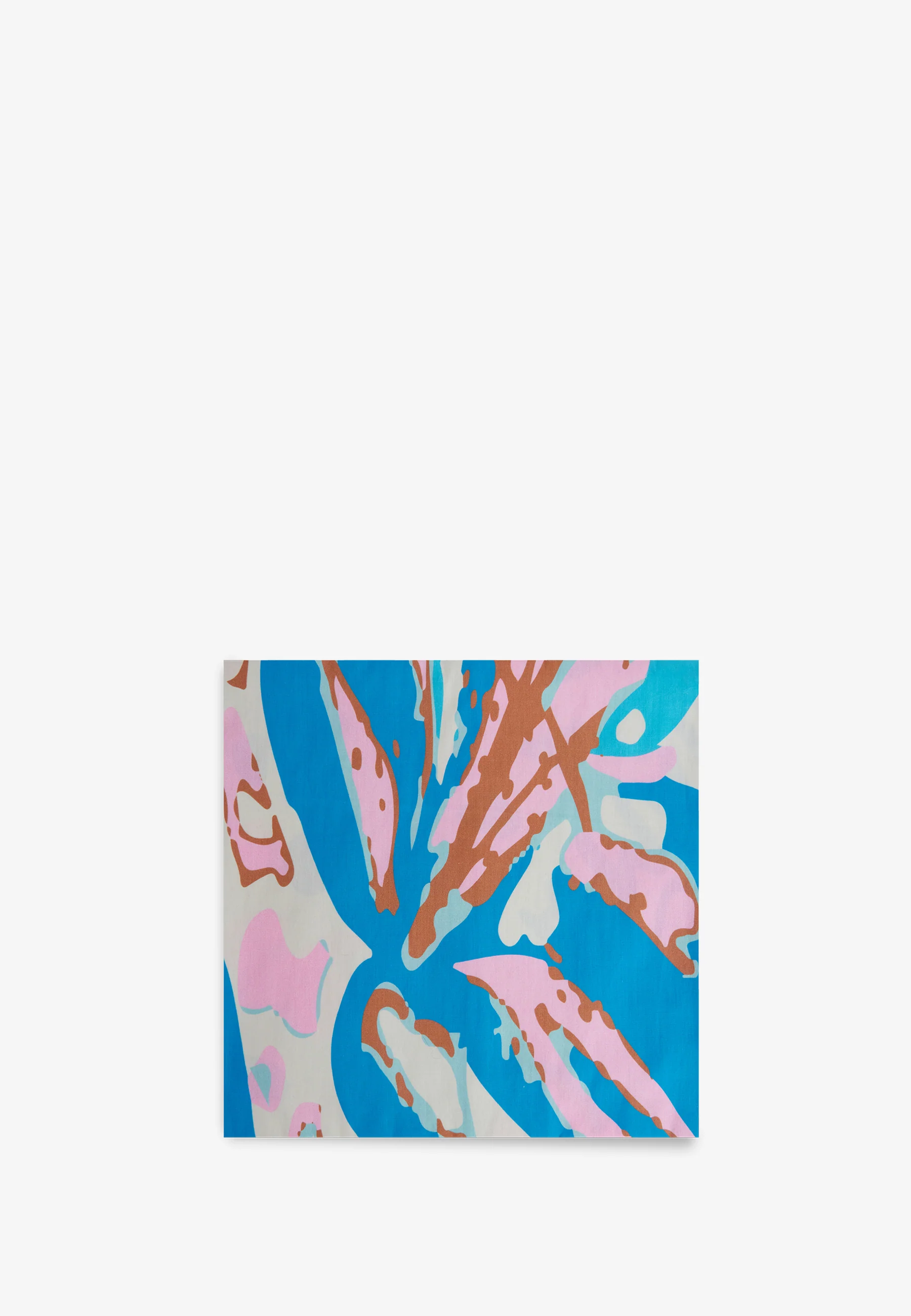 PAREO ARIEL - Image 7