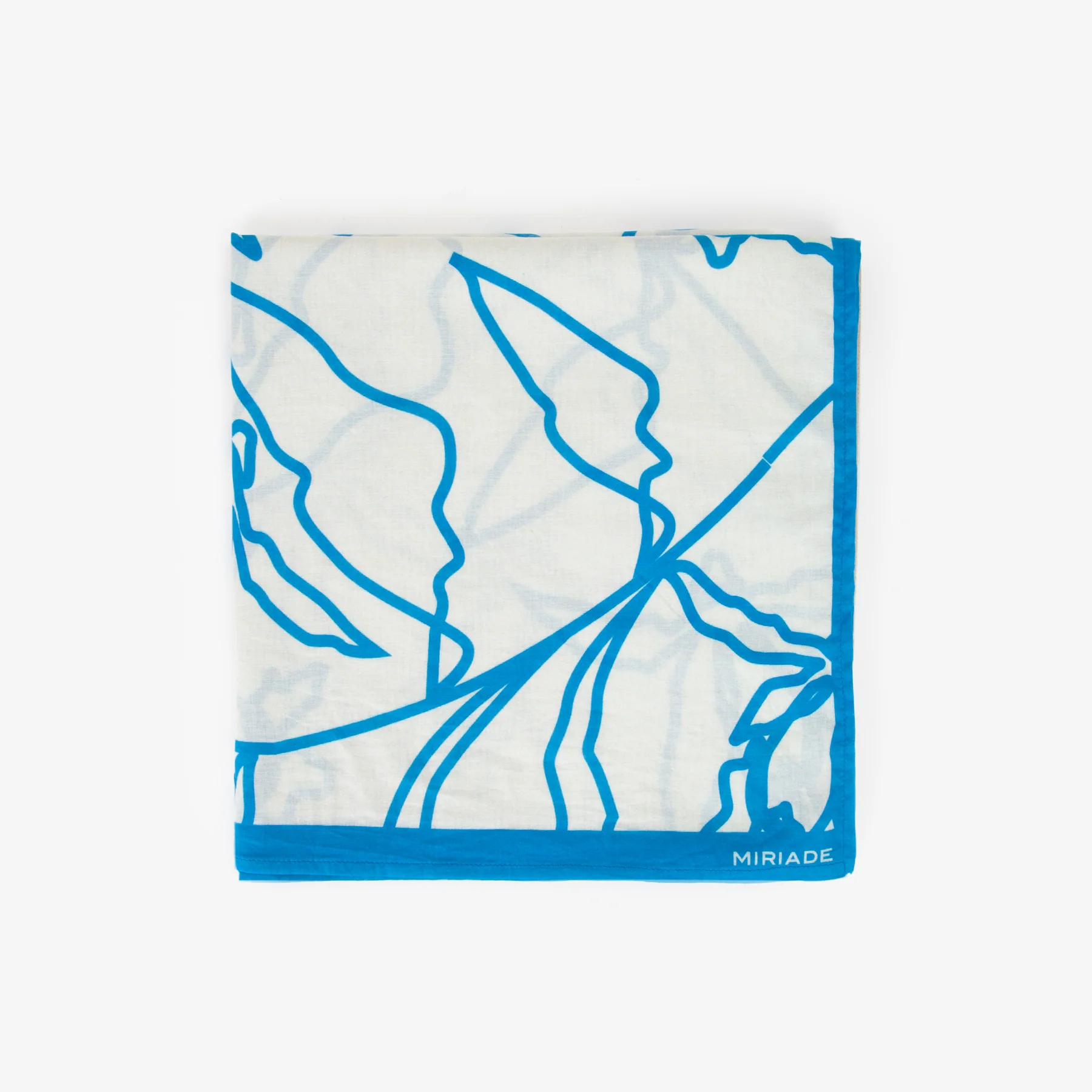 PAREO ASTER - Image 5