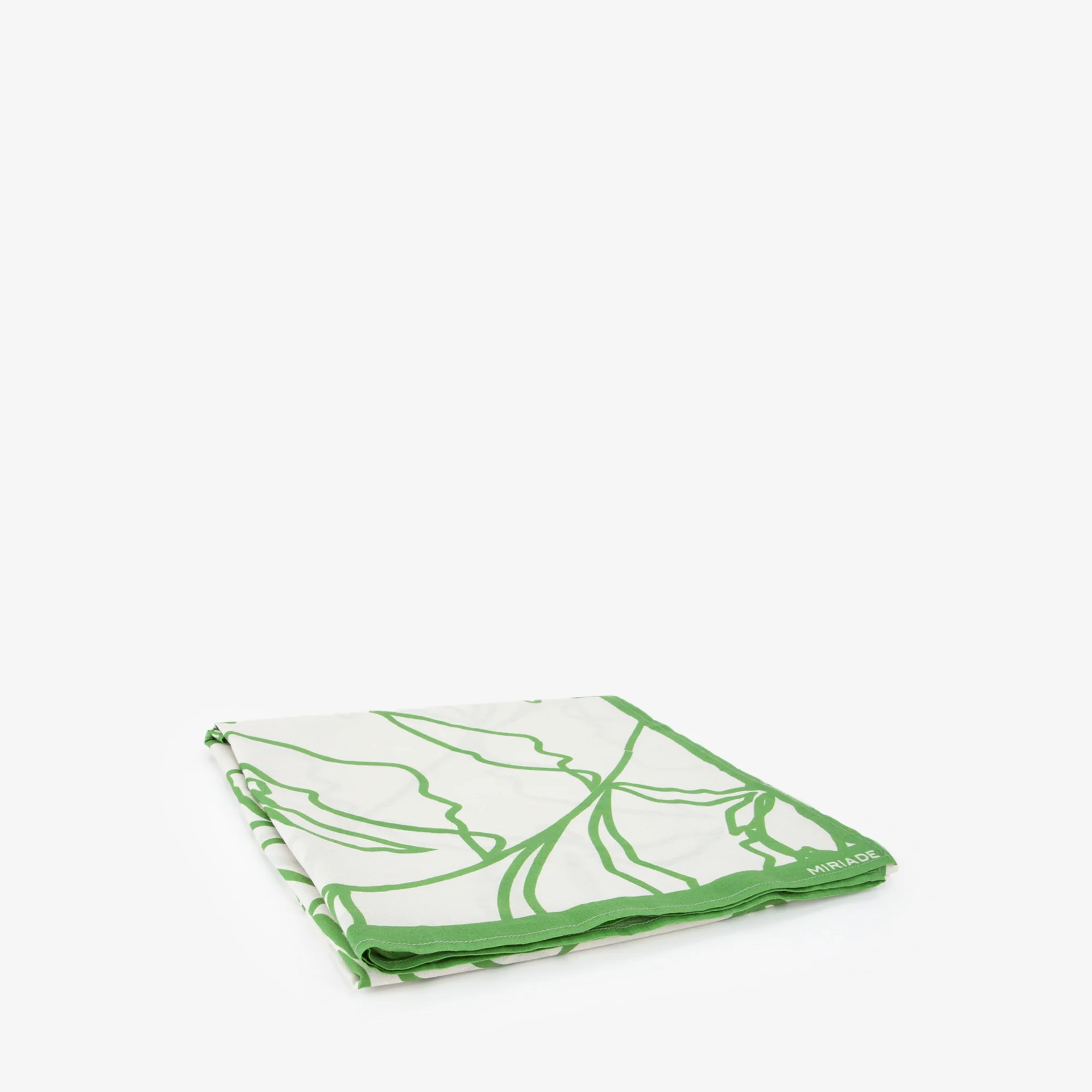 PAREO ASTER - Image 6