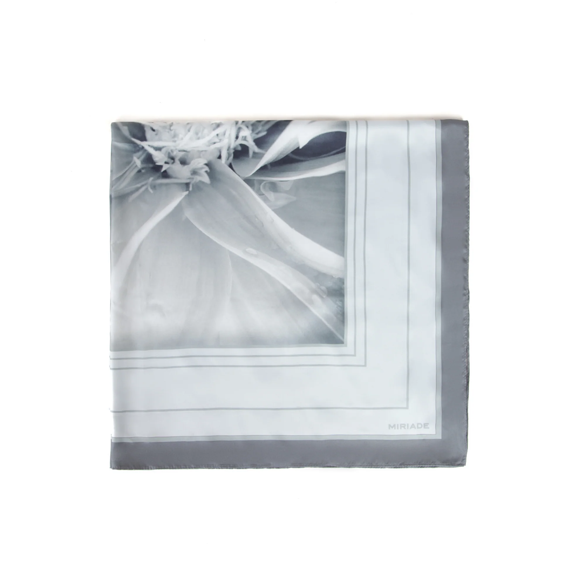 Quadratone IBRA - Image 5